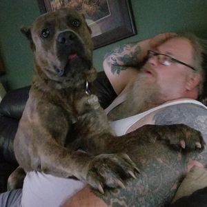 Meet your Posher, Adrienne